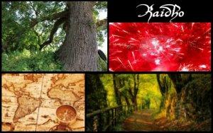 Raidho (ELEMIAH VOYANCE 08 99 96 90 99) Raidho (ELEMIAH VOYANCE 08 99 96 90 99)